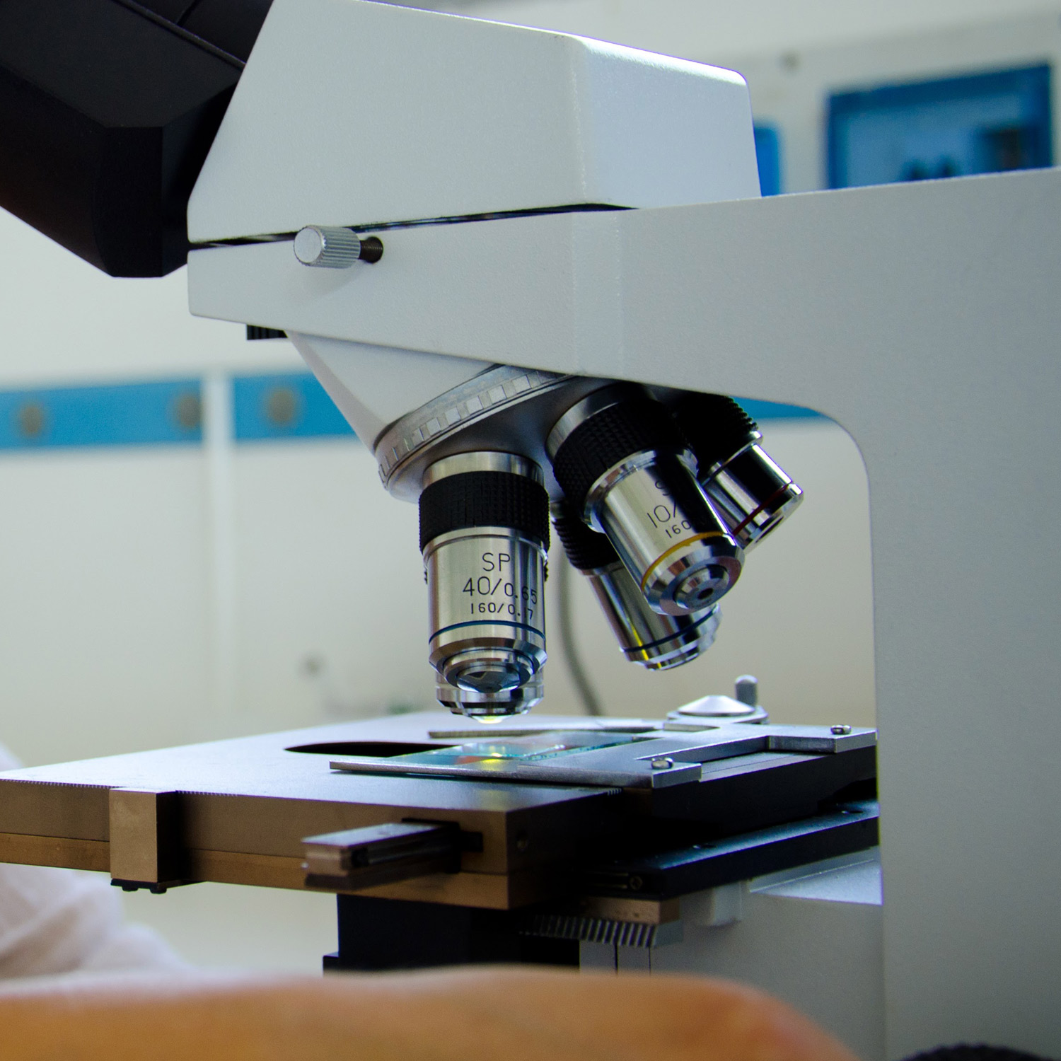 reire laboratori